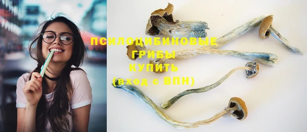 PSILOCYBIN Арсеньев