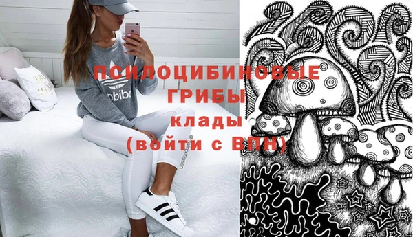 PSILOCYBIN Арсеньев