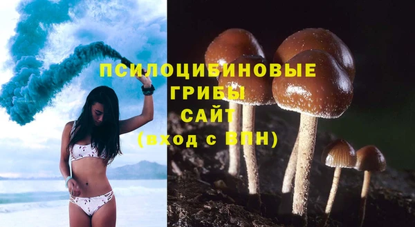 амф Аркадак