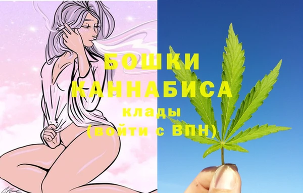 амф Аркадак