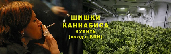 трава Елабуга